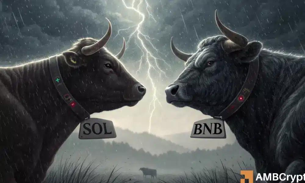 Solana 希望在第四季度推出 BNB，但币安不会轻易放弃
