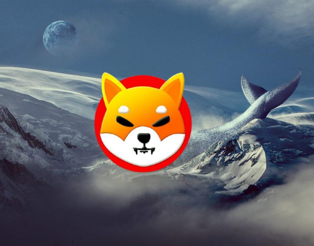 shiba inu whale