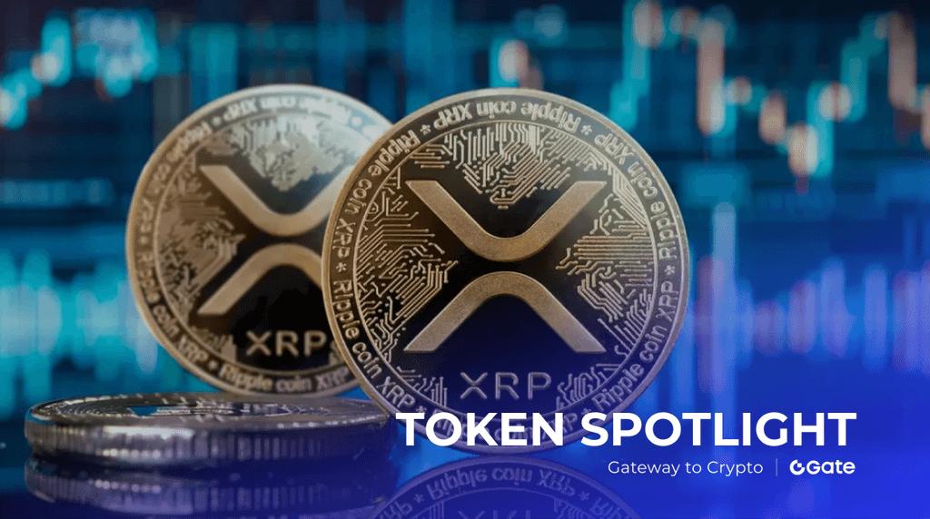 XRP 的价格能否突破历史新高？