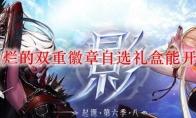DNF灿烂的双重徽章自选礼盒能开出什么