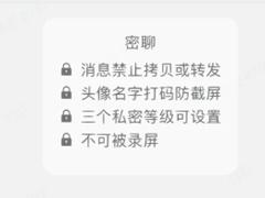 钉钉密聊安全吗,能被监控吗 钉钉密聊在哪里打开
