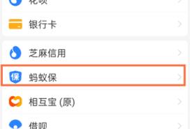 支付宝万能保险怎么退保