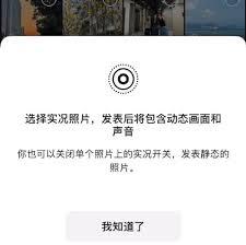 安卓能看朋友圈实况吗