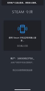 手机版steam打开黑屏怎么办