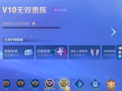 王者荣耀v10要充多少人民币 王者荣耀v10皮肤共享规则