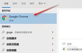 谷歌浏览器付款方式怎么设置