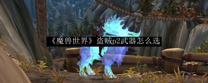 魔兽世界 盗贼p2武器怎么选