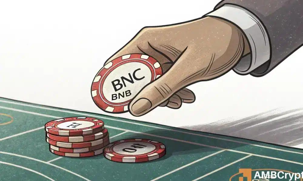 BNB：为何机构投资者在币安币第四季度押注数十亿美元