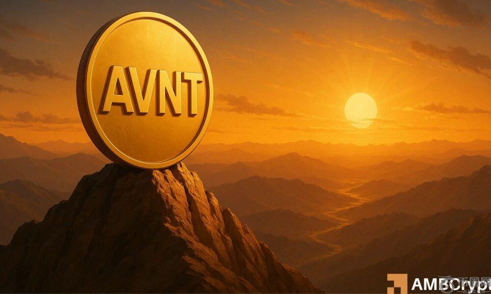 Avantis – AVNT 多头能否扭转 30% 的回调