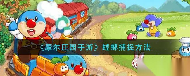 摩尔庄园手游 捕捉螳螂技巧揭秘