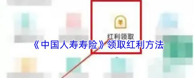 中国人寿寿险 领取红利方法