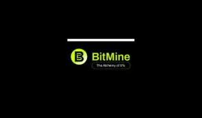 BitMine Immersion (BMNR) 宣布 ETH 持有量超过 265 万枚代币，加密货币和现金总持有量达 116 亿美元