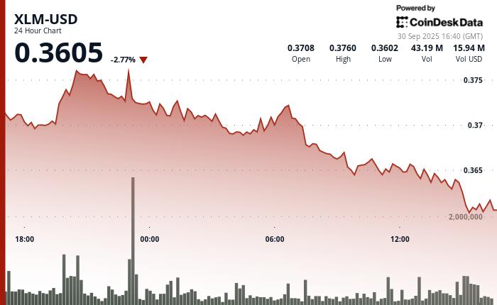 机构抛售拖累市场，恒星币 XLM 下跌 4%