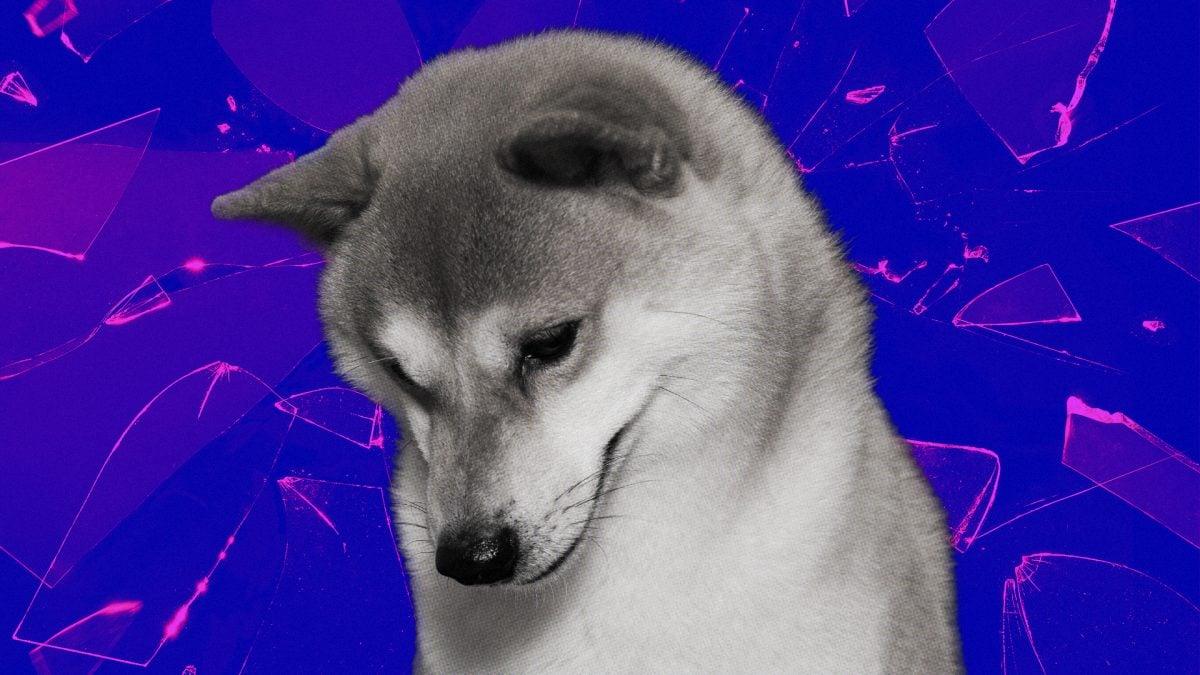 柴犬的 Shibarium 准备重启桥梁，并计划在 400 万美元的漏洞后向用户退款