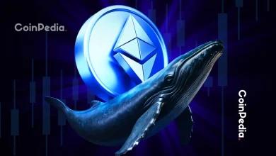 以太坊巨鲸将 1.38 亿美元转移到 Bitfinex——背后是什么
