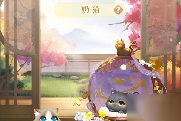 灵猫传 探寻灵猫世界中各式各样的猫咪品种