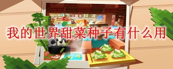 我的世界甜菜种子有什么用2025