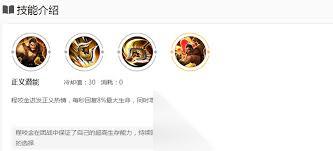 王者荣耀程咬金怎么出肉装