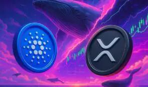 Cardano 和 XRP 鲸鱼回归——市场分析师称之为一年一度的买入信号