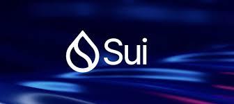 sui币2025年能涨到多少钱