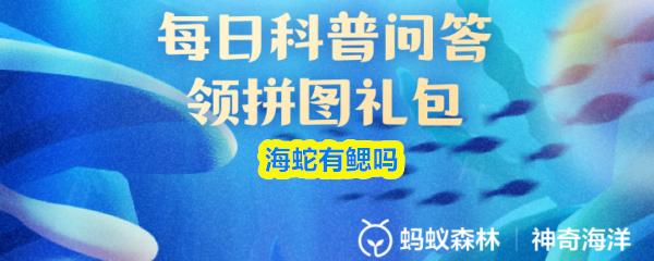 海蛇有鳃吗