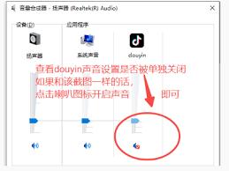 抖音网页版视频没声音如何解决