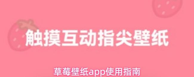草莓壁纸app使用指南