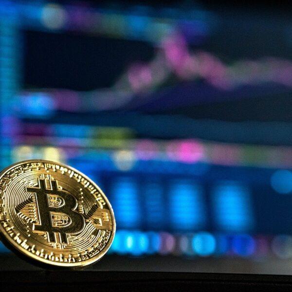 熊市 STRK、DASH、TEL 爆发：现在最值得买入的山寨币
