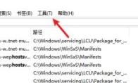 Everything怎么禁止前斜杠作为路径分隔符