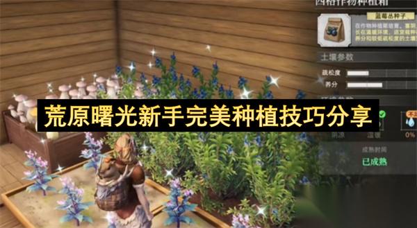 荒原曙光新手完美种植技巧推荐