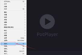 PotPlayer全屏时如何防止遮盖