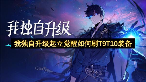 我独自升级起立觉醒如何刷T9T10装备