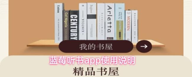 蓝莓听书app使用说明