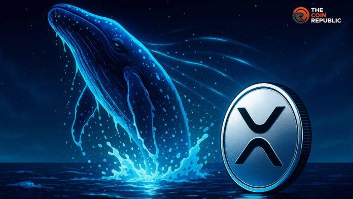 XRP新闻：巨鲸买入4.6亿枚代币，价格飙升12%，接下来会发生什么
