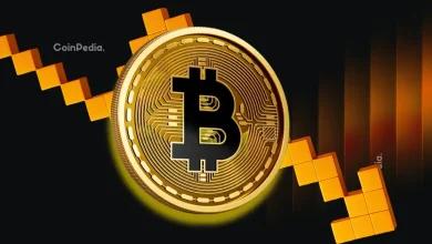 比特币价格预测：随着市场企稳，价格有望回升至 9.2 万美元至 10.1 万美元。