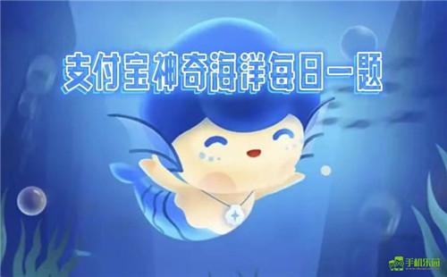 蚂蚁森林神奇海洋2025年12月11日答案