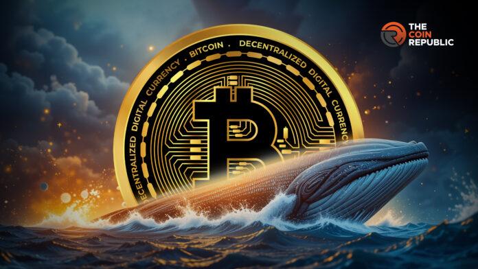 比特币新闻：BTC巨鲸重仓比特币、以太坊和SOL