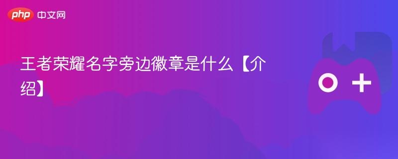 王者荣耀名字旁边徽章是什么【介绍】