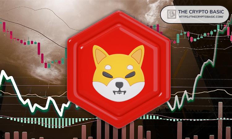 经历了糟糕的 2025 年表现后，2026 年柴犬的命运将会如何