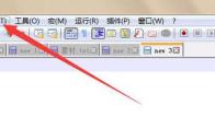 Notepad++怎么查看文件关联