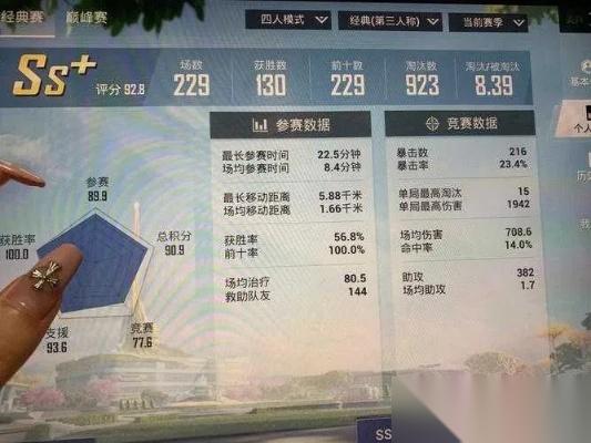 怎么看绝地求生战绩 全方位查询指南与数据解读