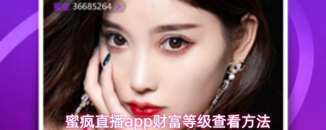 蜜疯直播app财富等级查看方法