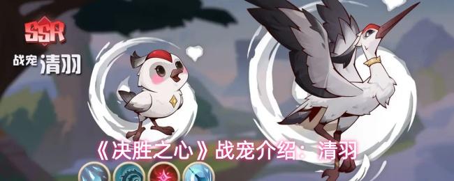 决胜之心 战宠介绍：清羽
