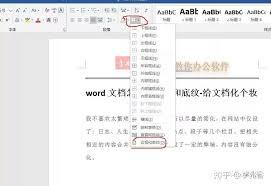 Word怎么给段落添加边框和底纹