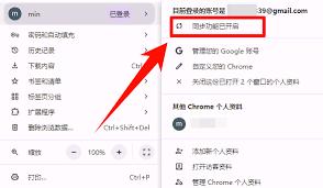 如何查看与导出Google个人搜索历史