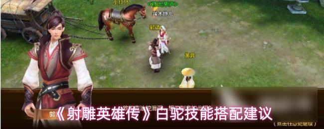 射雕英雄传 白驼技能搭配建议