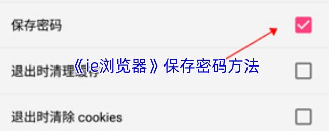 ie浏览器 保存密码方法