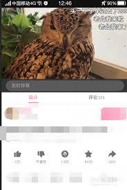 哔哩哔哩视频加载不出来怎么办