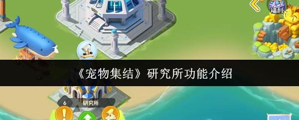 宠物集结 研究所功能介绍