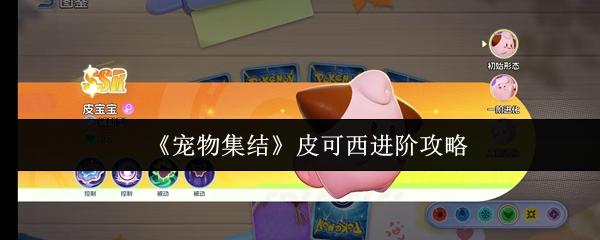 宠物集结 皮可西进阶攻略